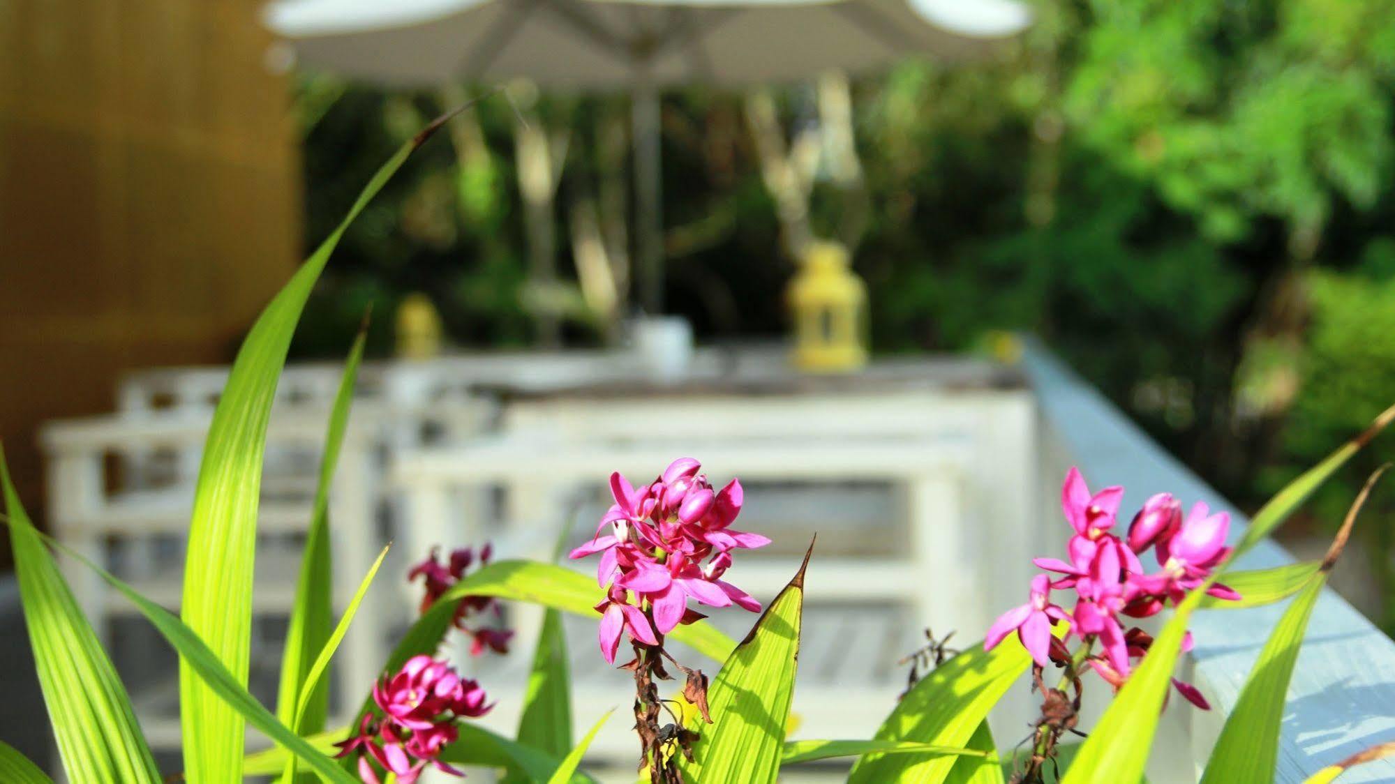 Emis Hotel Phu Quoc Dış mekan fotoğraf